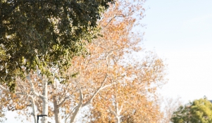 Otvorenje nove šetnice na bedemima