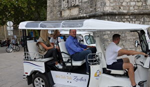 Dan bez automobila