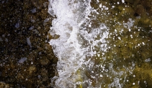 Šime Zelić/Pixsell