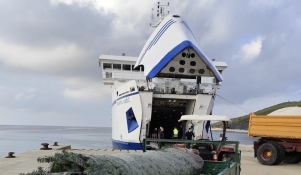 Božićne jelke stigle na zadarske otoke 