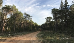 Uređenje šumskih staza, mjesta za odmor i igru unutar dijela Park šume Musapstan