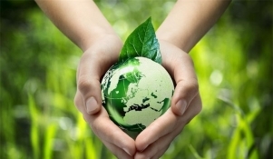 Grad Zadar obilježava Dan planeta Zemlje; od podjele sadnica do piknika u Vruljici 