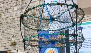 Dan plavih karijera u Zadru