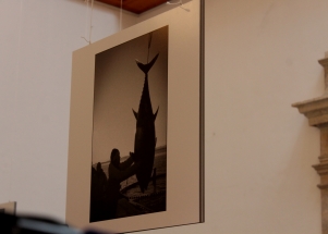 Otvaranje Tuna, sushi & wine festivala 2017.