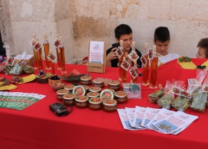 Dan izvanastavnih aktivnosti 2018.