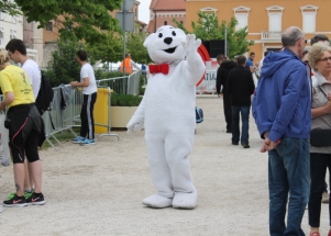 Wings for life Zadar 2015.