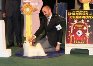 CACIB Zadar dog show 2016. - Arsenal