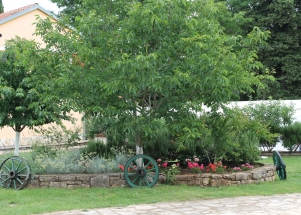 Proslava 17. godišnjice otvorenja centra sv. Ante Padovanskog u Nuniću 