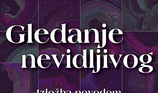 Izložba „Gledanje nevidljivog“