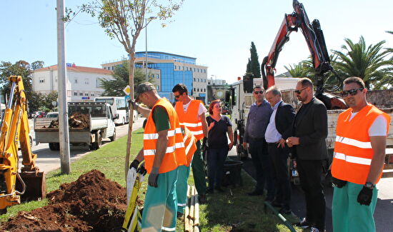 Nasadi posadili novi drvored na Branimirovoj obali