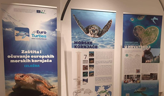 Izložba "Zaštita i očuvanje europskih morskih kornjača"