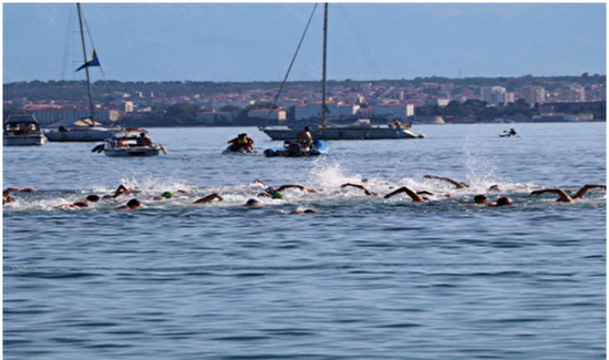 Plivački maraton Preko - Zadar