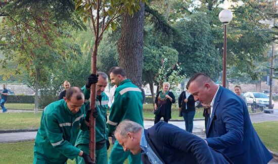 Zadar domaćin skupa o urbanom šumarstvu