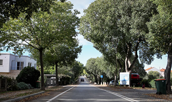 Šime Zelić/Pixsell