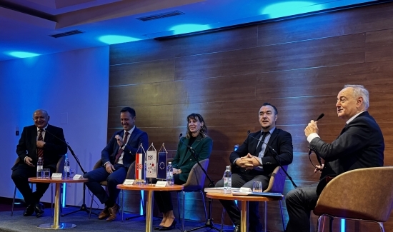 Demografske promjene: Izazovi i učinci uvoza strane radne snage - ekonomski i društveni aspekti