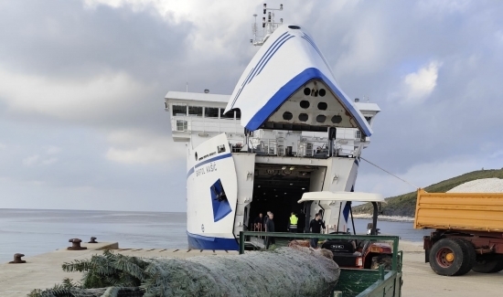 Božićne jelke stigle na zadarske otoke 