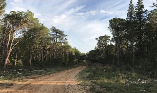 Uređenje šumskih staza, mjesta za odmor i igru unutar dijela Park šume Musapstan