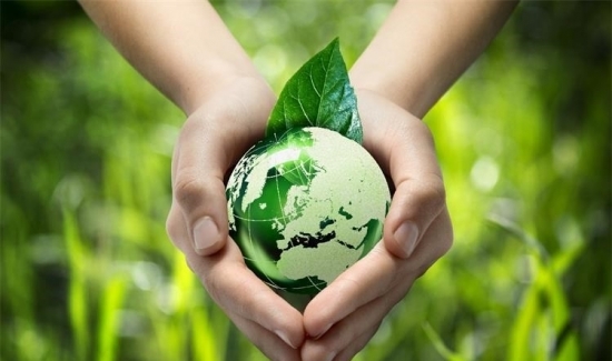 Grad Zadar obilježava Dan planeta Zemlje; od podjele sadnica do piknika u Vruljici 