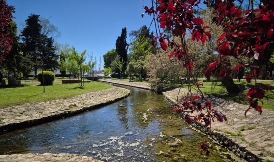 Program obilježavanja Dana planeta Zemlje: subotnje jutro u parku Vruljica 