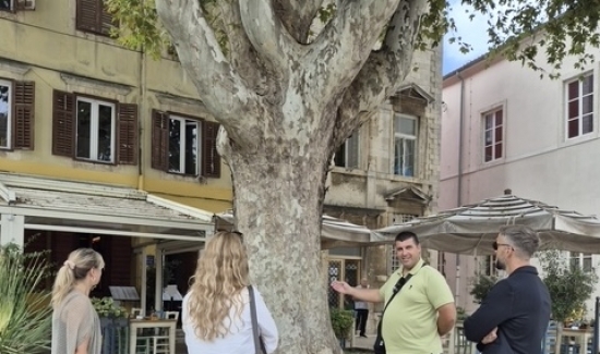 Zadar je dio europske TreeTag kampanje – odabrana gradska stabla dobila su TreeTag oznake