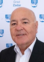 Damir Biloglav, vijećnik