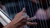 Veliki povratak Zadarskog komornog orkestra pod vodstvom maestra Repušića