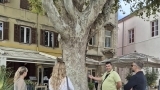 Zadar je dio europske TreeTag kampanje – odabrana gradska stabla dobila su TreeTag oznake