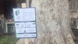 Zadar je dio europske TreeTag kampanje – odabrana gradska stabla dobila su TreeTag oznake