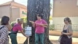 Zadar je dio europske TreeTag kampanje – odabrana gradska stabla dobila su TreeTag oznake