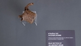 Otvorena izložba “Neosvojeni Zadar - Bitka za grad 1991.”: Oživljena sjećanja na ratne dane 