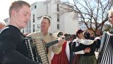 Šjora Tina i belafuška špina