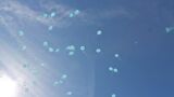 Puštanjem plavih balona obilježen Svjetski dan svjesnosti o autizmu 