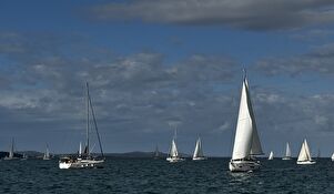 Regata Zadarska koka - spoj sporta, druženja, tradicije i mora