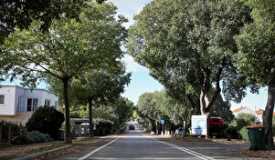 Šime Zelić/Pixsell