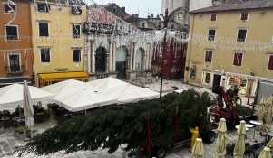 Na Narodni trg stigao 15-metarski bor iz Požege 