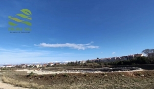 Objavljena Odluka o odabiru izvršitelja za sadnju stabala uz retencijsko-infiltracijski bazen na Bokanjcu 