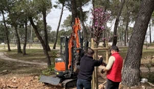 U parku uz prometnicu Kažimira Zankija započela sadnja 205 stabala