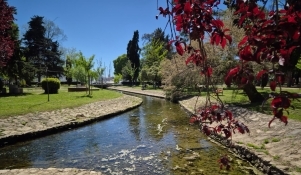 Program obilježavanja Dana planeta Zemlje: subotnje jutro u parku Vruljica 