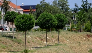 Zeleni val na Bokanjcu; dovršena sadnja stabala uz retencijsko - infiltracijsku građevinu 