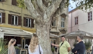 Zadar je dio europske TreeTag kampanje – odabrana gradska stabla dobila su TreeTag oznake