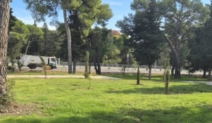 Zeleni plan ide dalje: Glavni fokus je na sadnji novih stabala 