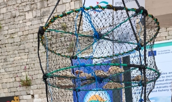 Dan plavih karijera u Zadru